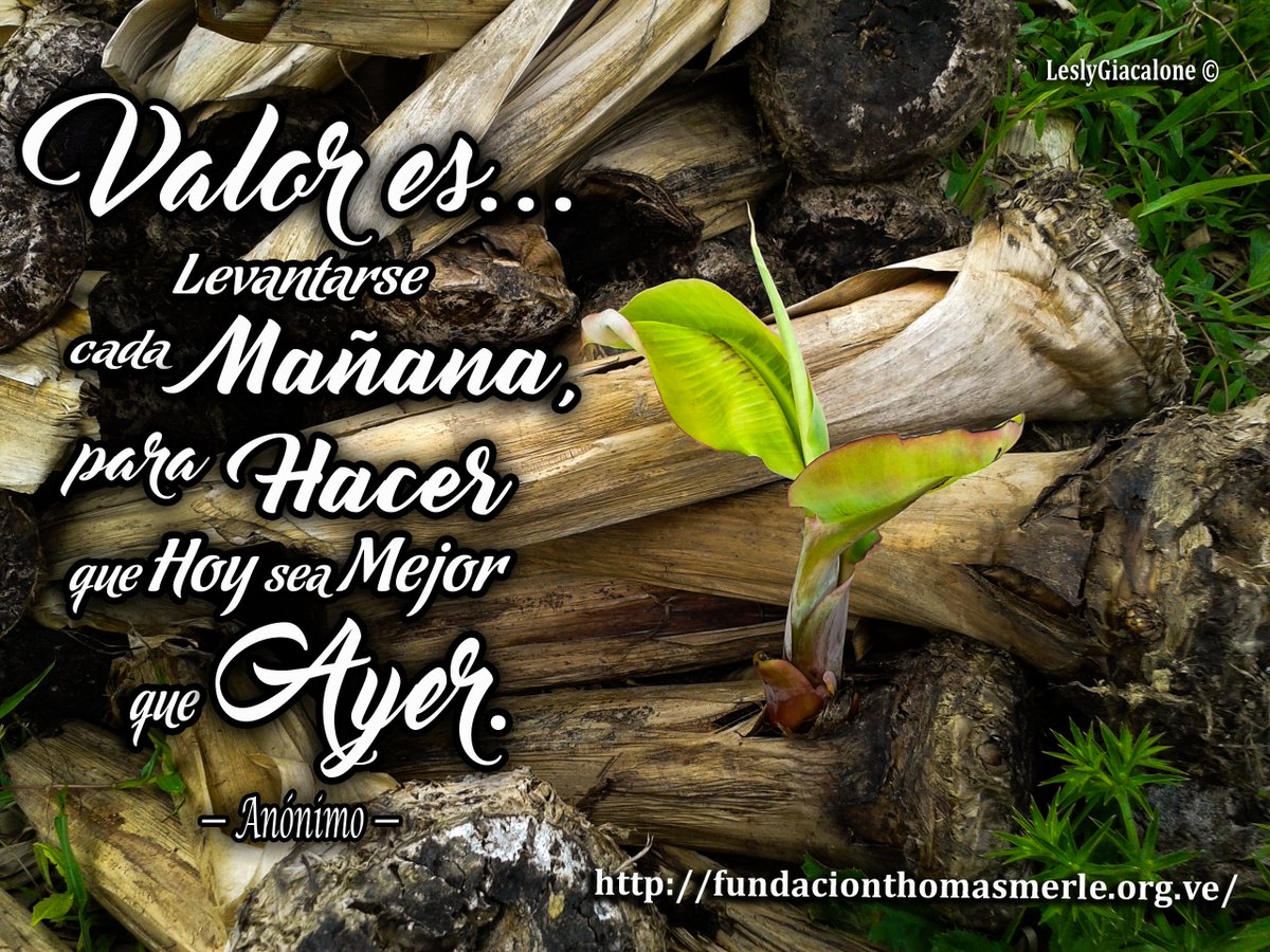 #educacionambiental, #ambiente, #fundacionthomasmerle, #frases #frasesbonitas