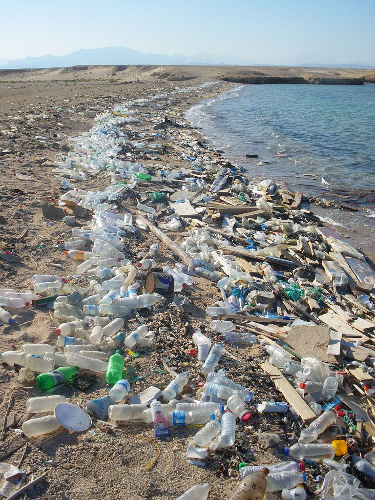 Desi2g's tweet photo. 10 empresas culpables de gran parte del plástico en los océanos https://t.co/rLQuBpxoIK vía: @ecocosas https://t.co/MMfvOohpzx