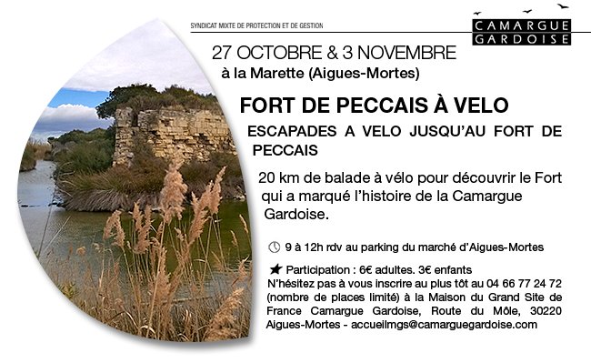 CamargueGardois's tweet photo. Le Fort de Peccais à vélo, c'est une sortie naturaliste, ornithologique,  et historique. C'est immanquable, et sur inscription auprès de la  Maison du @CamargueGardois accueilmgs@camarguegardoise.com Nb de places limité, dépêchez-vous ! https://t.co/aergAZbmQj