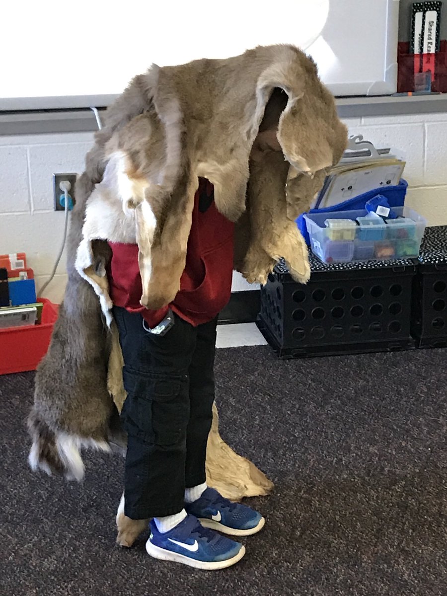 Mrs. Golden's Class tweet media