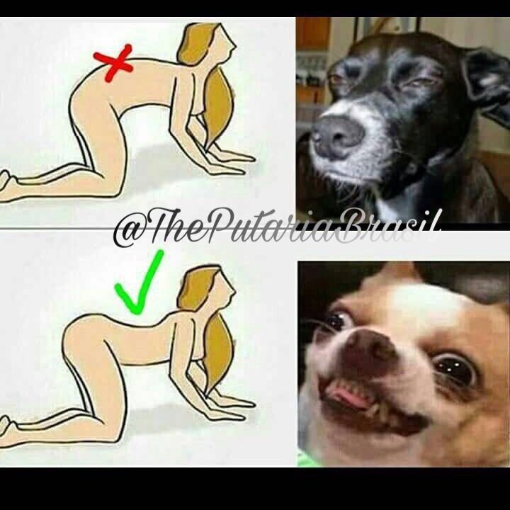 ThePutariaBras's tweet photo. Faz direito moça! #SexoSemPreconceito @ThePutariaBras https://t.co/5jQnLvlLIy