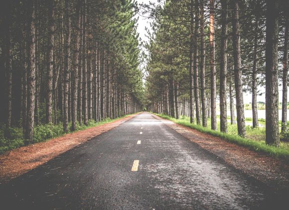 OfficialJimRohn's tweet photo. Ask yourself these 5 questions to define where you're going in life. https://t.co/CpkWA1gxax https://t.co/cTaY9VDrr7