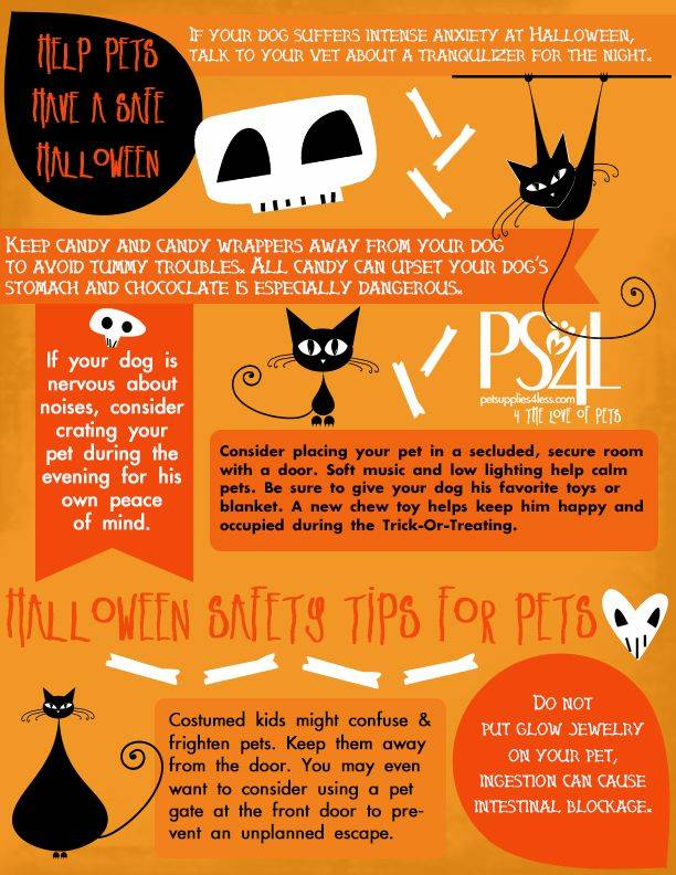 adriennedeans's tweet photo. Helpfultips for #furrbabies this #halloween. π #DeansGroup https://t.co/biK7JeaBmG