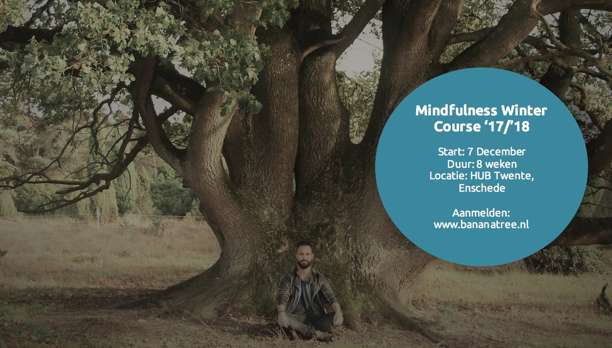 Minder stress en meer rust ervaren? Doe mee met het wetenschappelijk bewezen MBSR programma! Aanmelden kan via bananatree.nl/voor-jou/mindf…