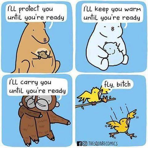 riggerx's tweet photo. I've always felt a certain kinship with birds.
#problemnoproblem #seemslegit #parenting like a pro. https://t.co/8JnJKjjI35