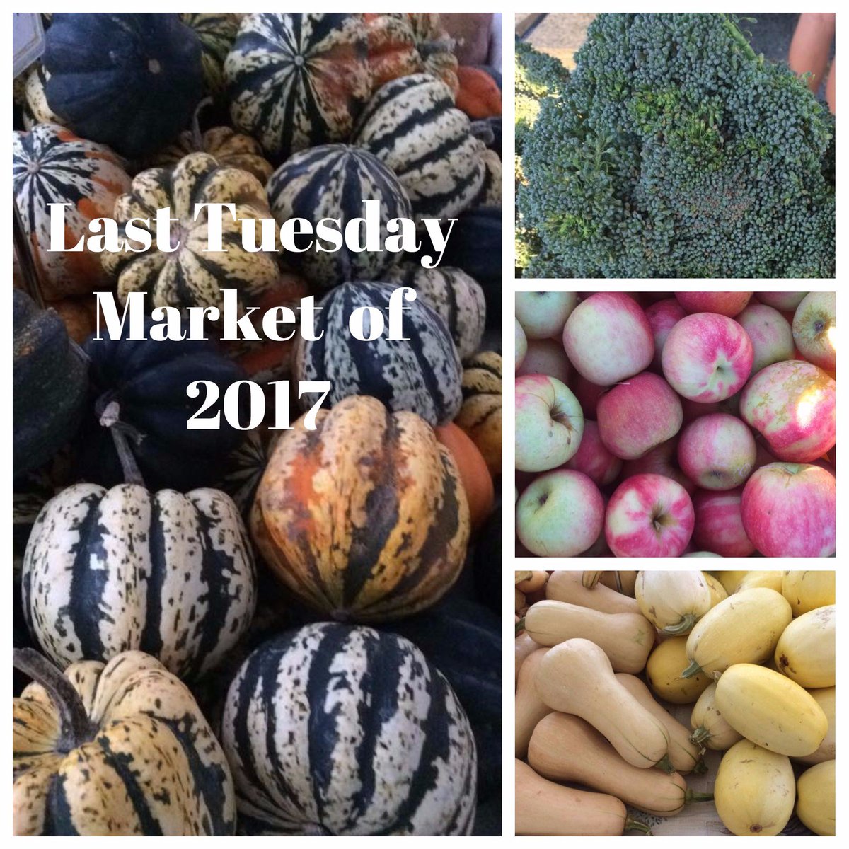 SGFFarmers's tweet photo. Tomorrow is the last Tuesday market of 2017! Come see us! #knowyourfarmer #localproducers #localproduce #sgffarmersmarket #winteriscoming https://t.co/Sx0g0m8yqG