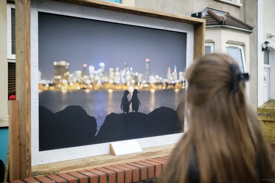 WildscreenFest's tweet photo. Miss our #witnessthewild photography trail in #Bristol? Check it out here thx to @JonCraig_Photos: https://t.co/V8tC1Bbvim https://t.co/U6xZ7wzglX