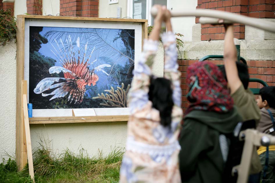 WildscreenFest's tweet photo. Miss our #witnessthewild photography trail in #Bristol? Check it out here thx to @JonCraig_Photos: https://t.co/V8tC1Bbvim https://t.co/U6xZ7wzglX