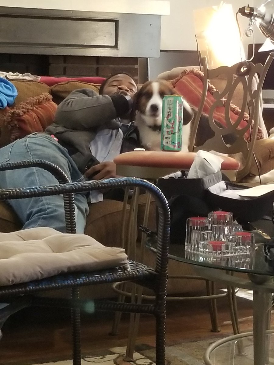 SelfMadePro17's tweet photo. Doggo on set today. We love you Jax. Filming Leap of Faith. #doggo #shortfilm #setlife #dogonset #dogonsetbutshortnotaboutthedog https://t.co/yQ1GK93nSx