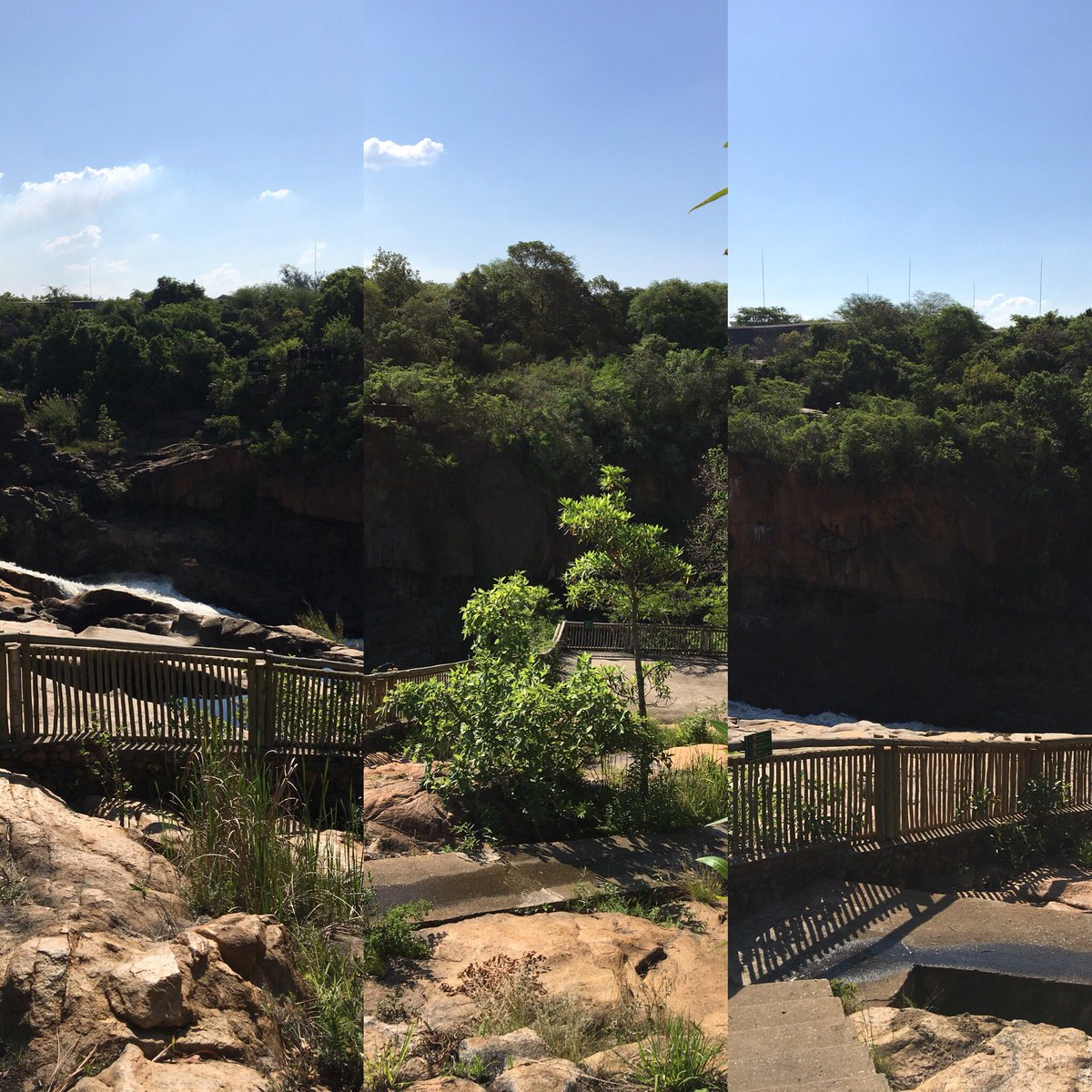 thabokhozaroses's tweet photo. @LowveldBotGarde today was too nice a day to be stuck behind a laptop. Took a short walk 😊  @mbombela_today @RISEfm943 @KrugerLowveld https://t.co/heAjnJKRAH