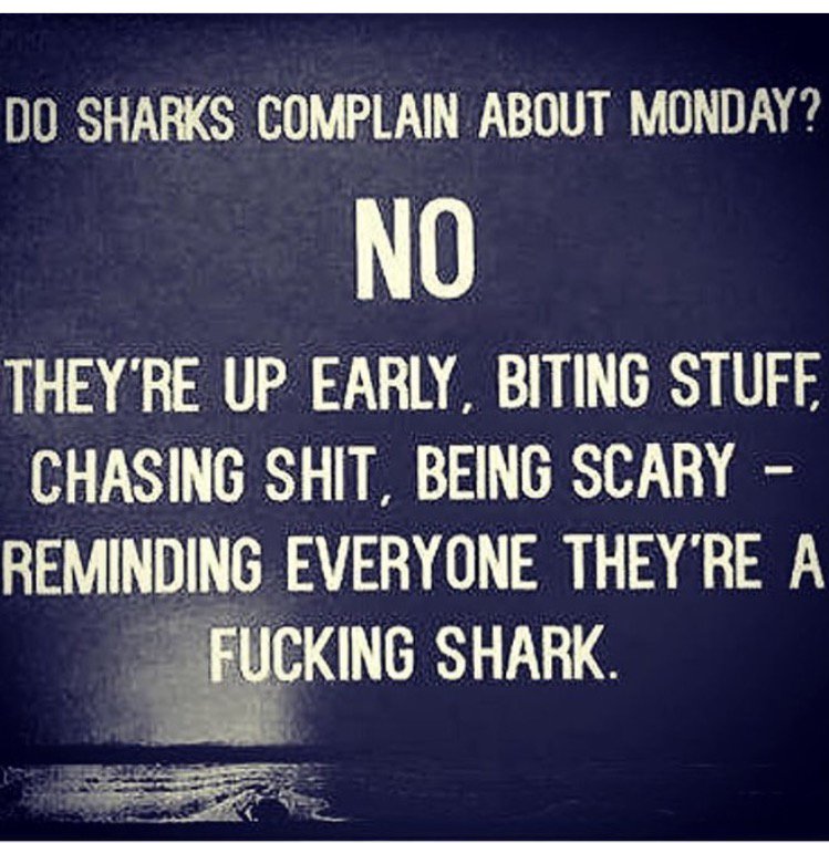 GTEAgency's tweet photo. Channel your inner #Shark...  #MotivationalMonday #AgencyLife #Experiential #MondayMotivation #GTEAgency https://t.co/puJ4evw03e