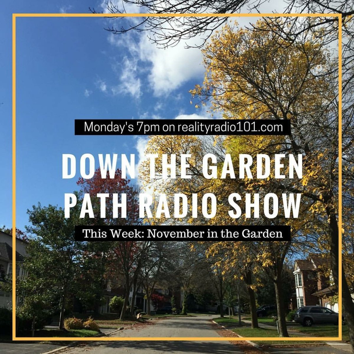NatAffinity's tweet photo. Tune in for fall tips and tricks as we take a closer look at the garden in November! @NatAffinity @realityradio101 #dtgp https://t.co/AoXJ7lxika