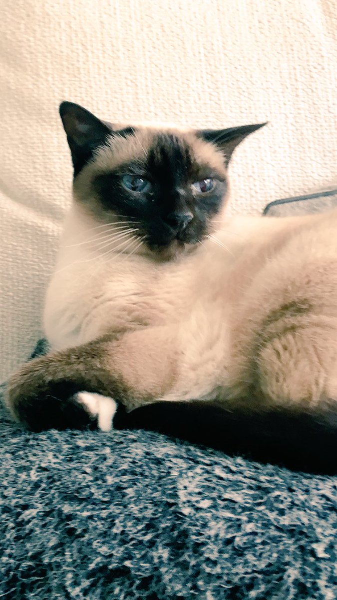 myleftfang's tweet image. IT'S MONDAY! GO TO WORK IF YOU CAN BE BOTHERED. OR DON'T. I DON'T CARE. #FedUp #IdiotsGoHome