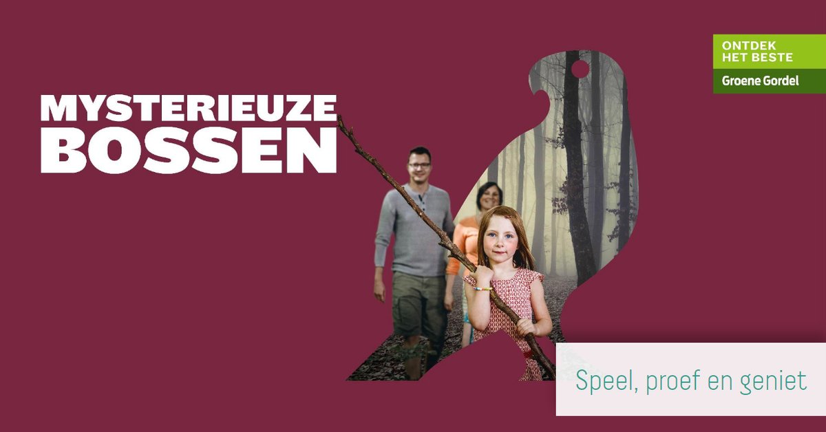 GroeneGordel's tweet photo. Deze donkere dagen smeken gewoon om een Mysterieuze fakkeltocht. Stap je mee? https://t.co/4N0sq5Oe8E https://t.co/JPAVaEmgjv