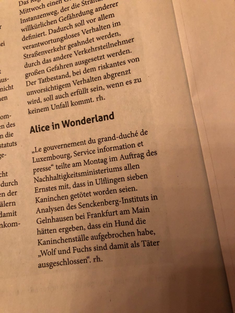 SteveClement's tweet photo. An dofir liest een d‘@Letzland
#weirdIndeed #aliceinwonderland @LuxembourgLU #sip https://t.co/MLEovA54th