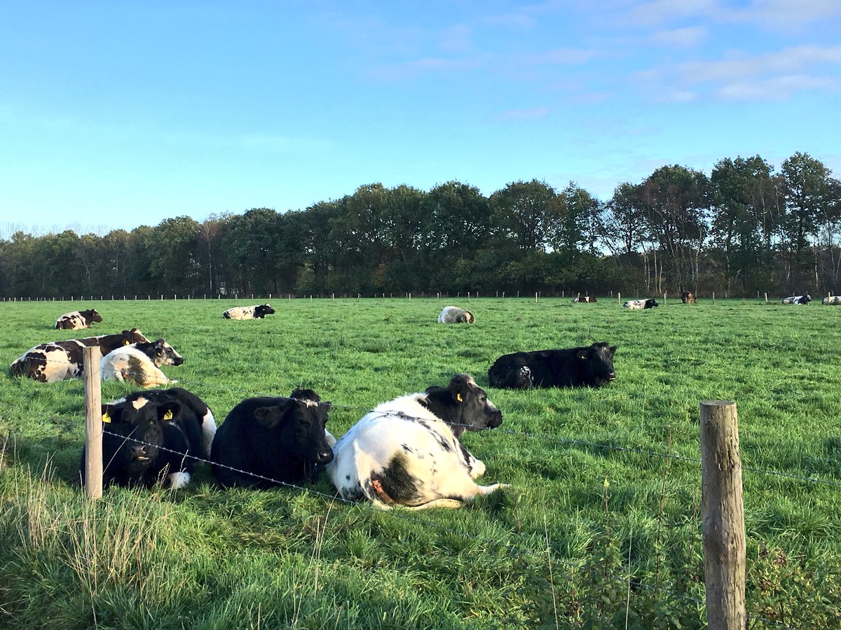 JacobsMario's tweet photo. Feestelijke afronding van Natte Natuurparel De Brand in #ParkPauwels. Versterken groene schakels &amp; waterhuishouding in #Tilburg. https://t.co/SjxwKDFXEU
