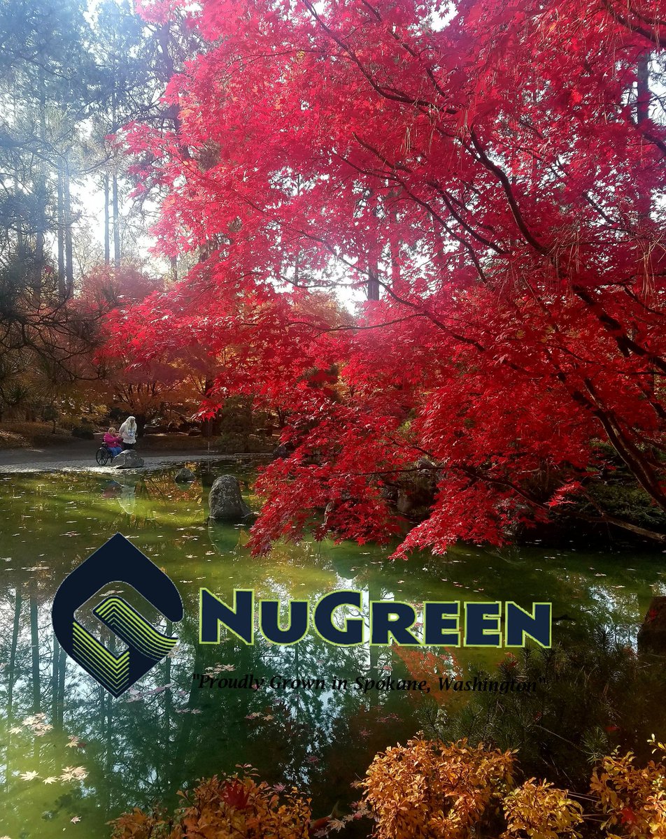 NuGreenWA's tweet photo. Fall in love with #NUGREEN at a Retail Partner near you! #SpokaneGreenLeaf #SativaSisters #Mj'sPotShop #Cinder #TokerFriendly #LuckyLeaf https://t.co/KLfk6Bg8Al