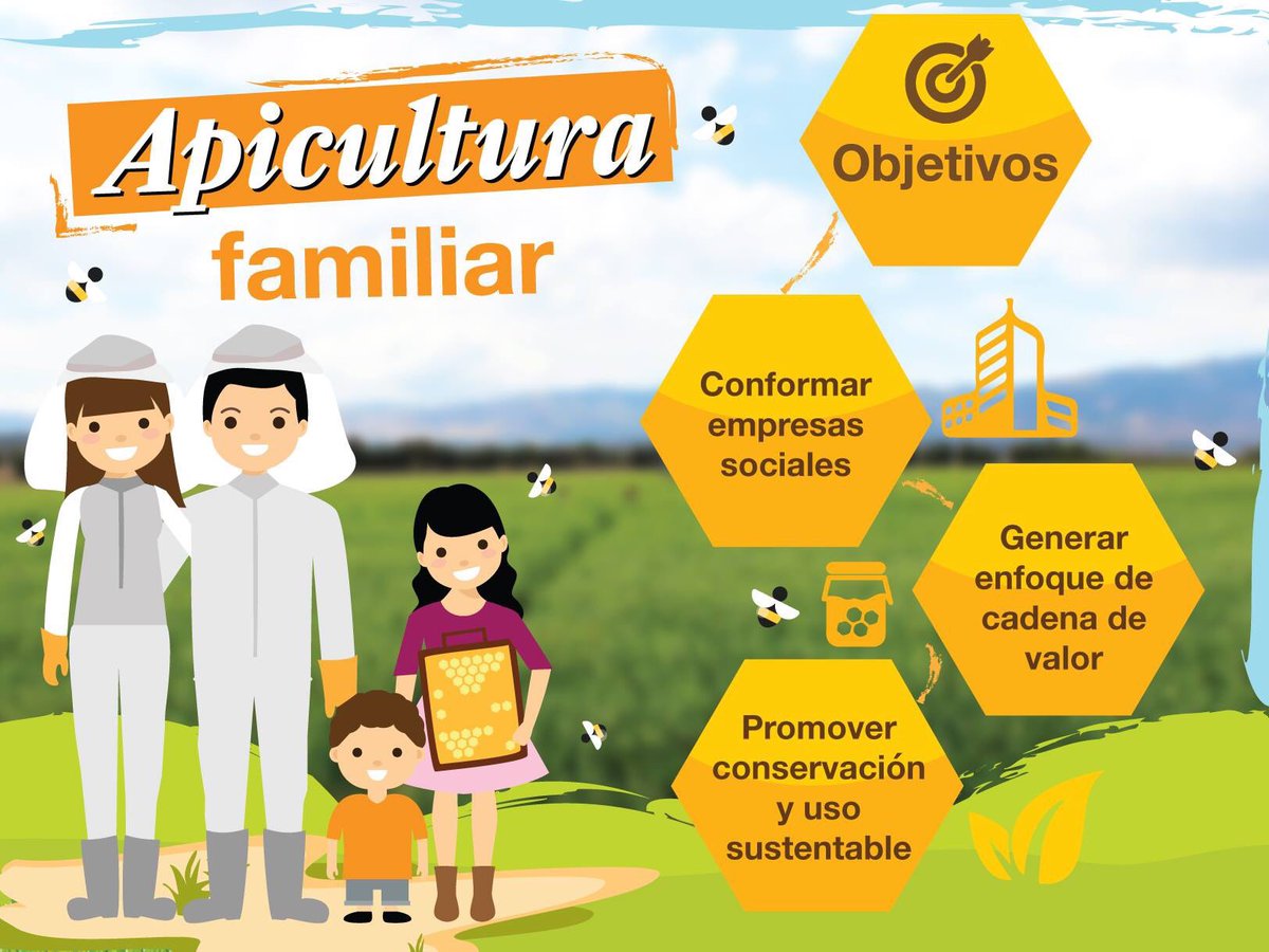Mely_Romero's tweet image. Las productoras apícolas 🐝 motivan a sus familias a participar en la apicultura!!