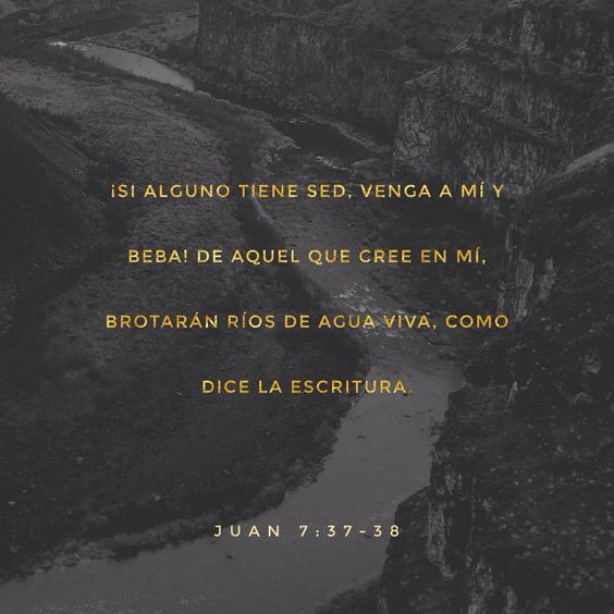 SomosNEON's tweet photo. https://t.co/sxkAfyneiO