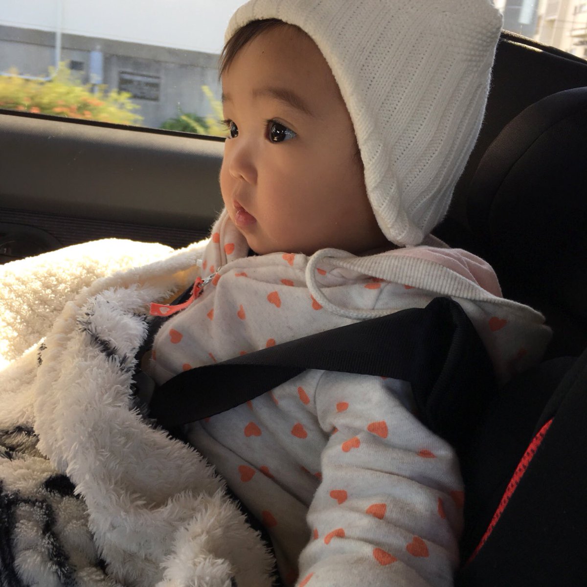 Alisa 昨日で麗子9ヶ月おめでとう 手のかかる娘やからさらに可愛いわ まだまだ赤ちゃんで甘えん坊ちゃん ただ立っちとか手足腰の発達は 一丁前に早いわ まんま まま 言うたりでままって呼んでるんか まんまご飯頂戴なんかどっちか 本間わからん