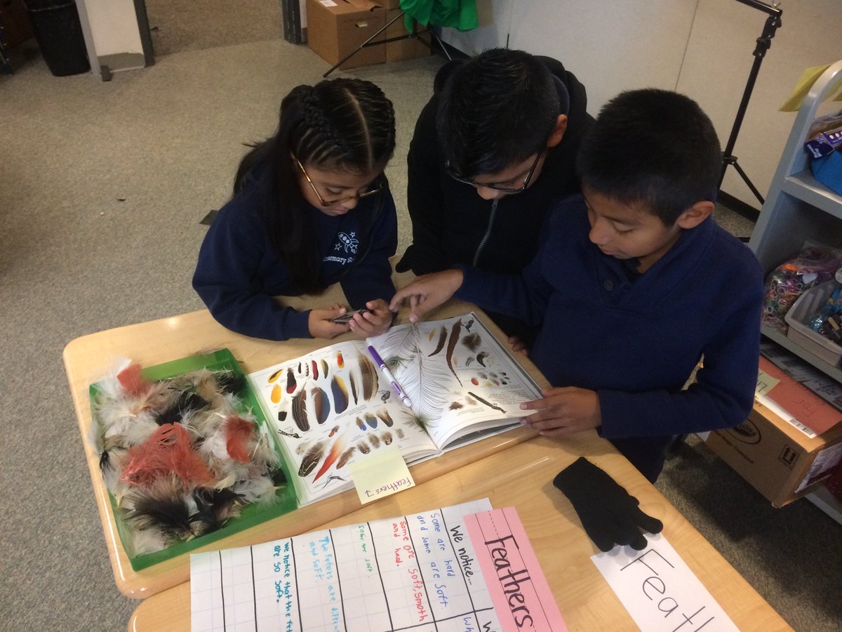 vongerer's tweet photo. Rosemary 3rd Graders launching their bird expedition! #CUSDrockstar #ELeducation https://t.co/EqMMHiVOiq