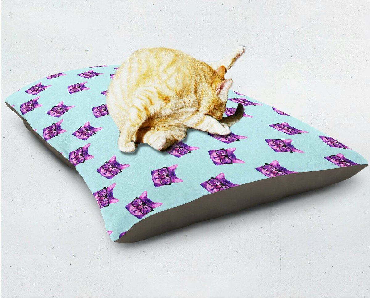 LostKatPhoto's tweet photo. Cat Meme Pet Bed, Fleece Cat Bedding, Nerdy Cat, Hipster Cat Bed, Colorful Cat Bed #pets #catmeme #nerdycat https://t.co/WOtPA7PSmK https://t.co/7056uXAzQl