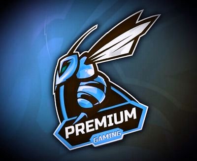 Premium Gaming tweet media