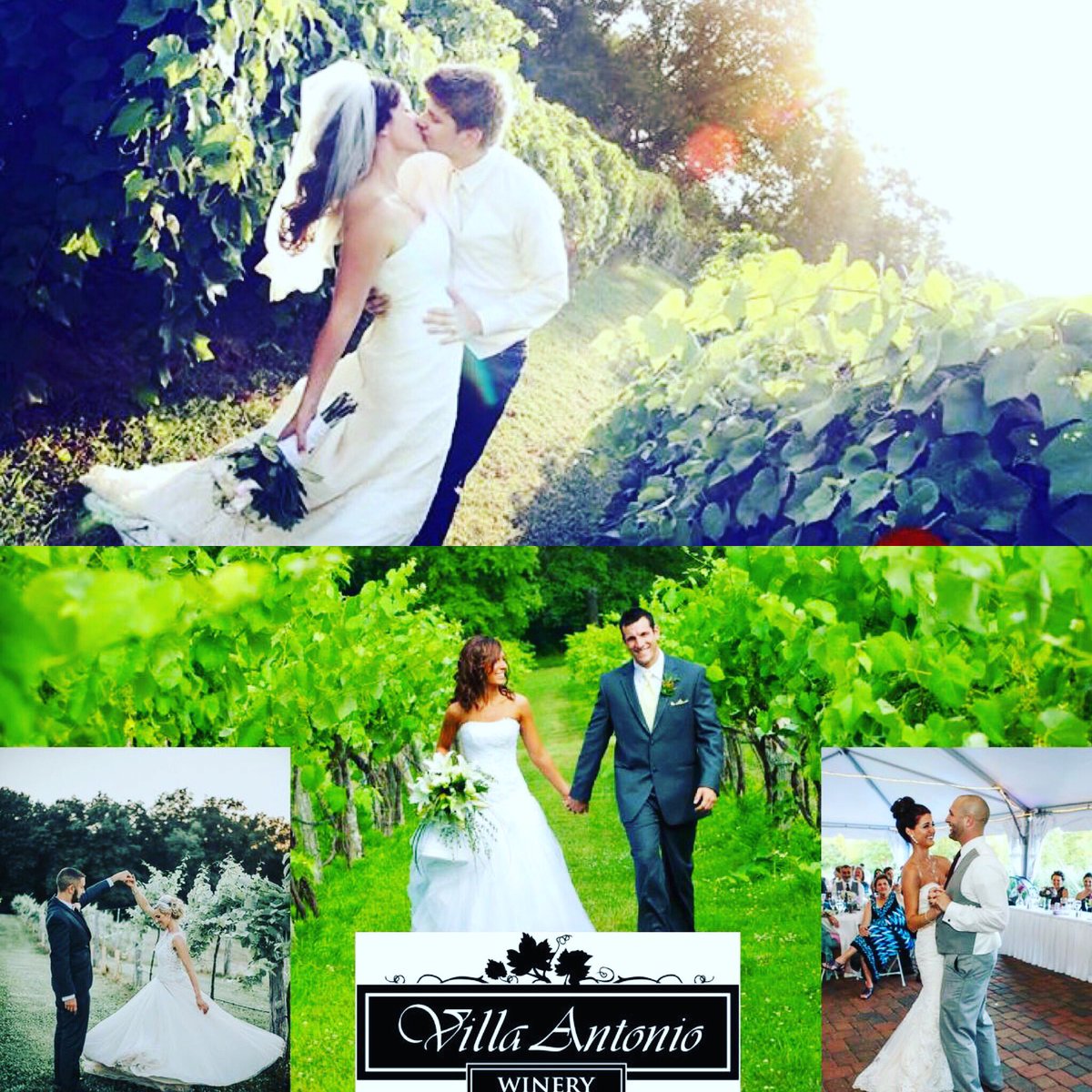 VillaWinery's tweet photo. Planning a wedding in #STL? Check this out: https://t.co/x9rVU8RaCp #winery #VAW #wedding #saintlouis https://t.co/CJOPMnVDd1