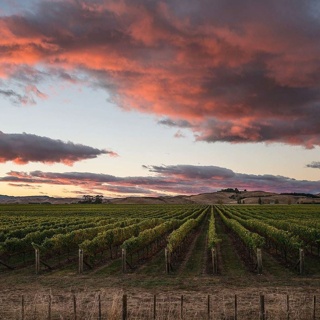 Sometimes, it is greener on the other side of the fence.