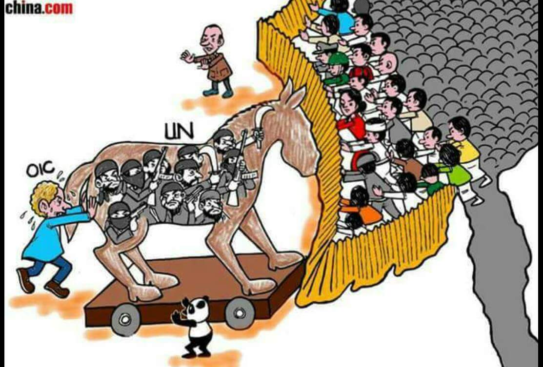 What UN /OIC?