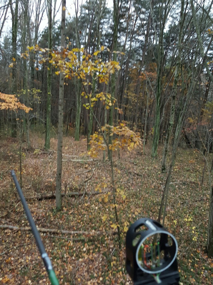 blapp455's tweet photo. Hocking county during rut, my favorite place. #hocking #bowseason #rutison https://t.co/w6ElK9txQY