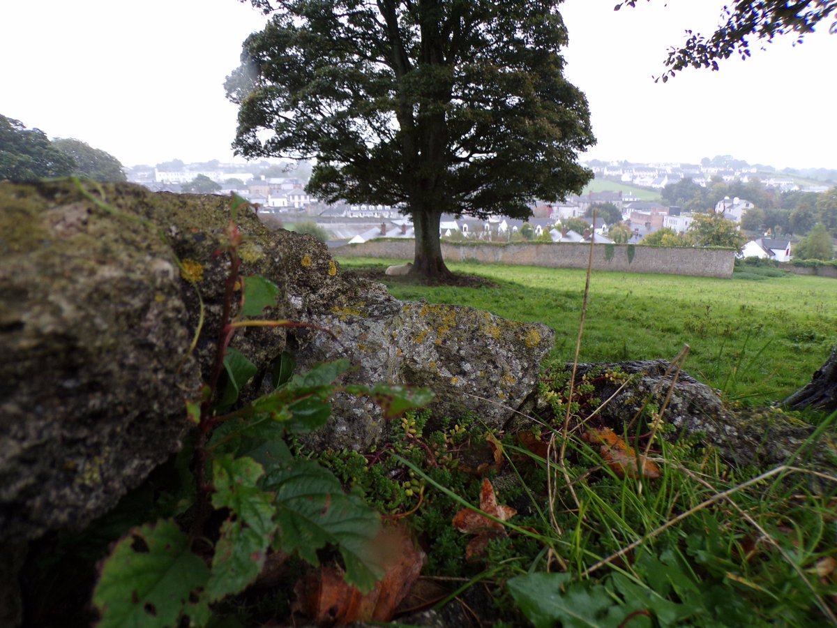 Ariells03's tweet image. Some of my favorite pictures from Ireland!