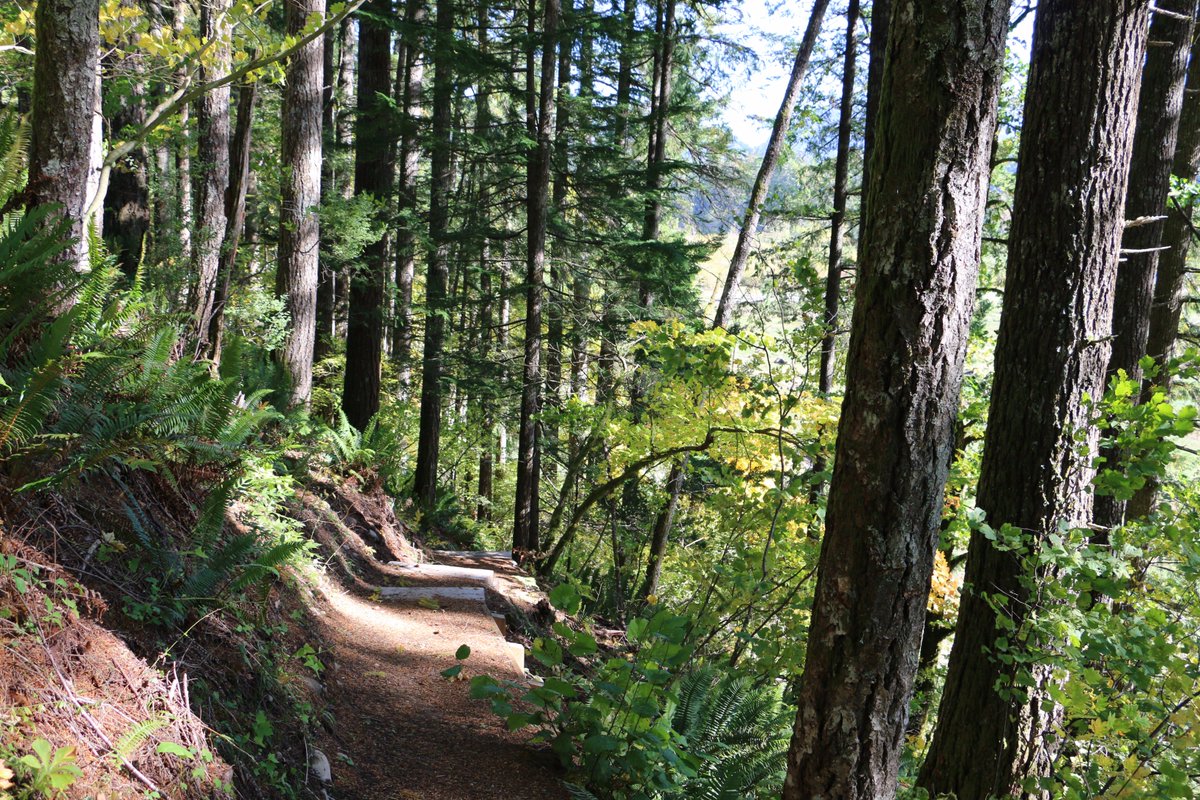 MacKaySposito's tweet photo. The Top 3 Things to Remember When Developing Backcountry Trails https://t.co/jVar5nBD2a #ConstructiveCandor https://t.co/3wK34S3Ngv