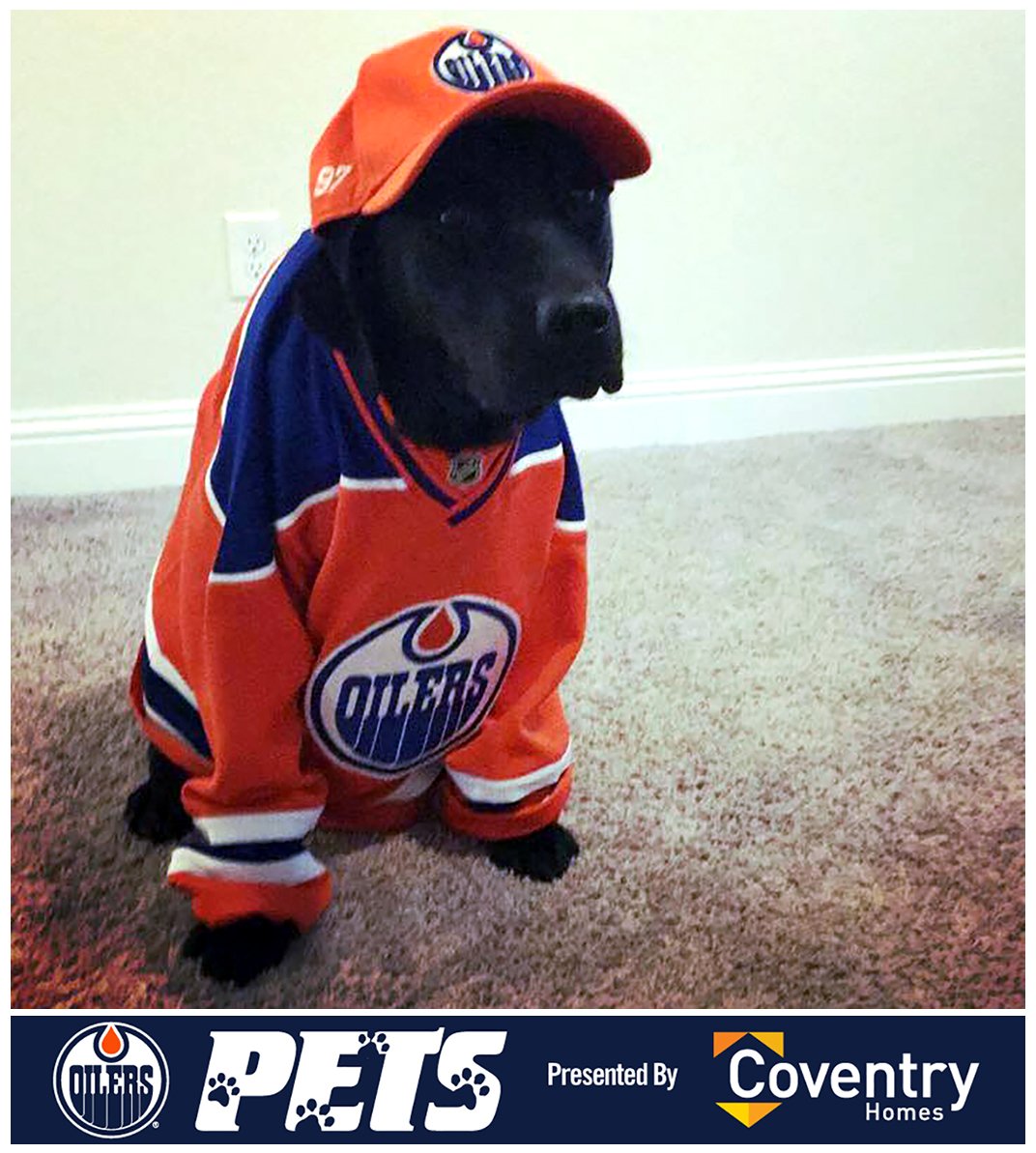 Another #OilersPets spotlight! For every RT &amp; LIKE #Oilers fan Stacey's girl Lily gets, <a href="/CoventryHomes/">Coventry Homes</a> will donate $1 to <a href="/EdmontonHumane/">Edmonton Humane Society</a>.