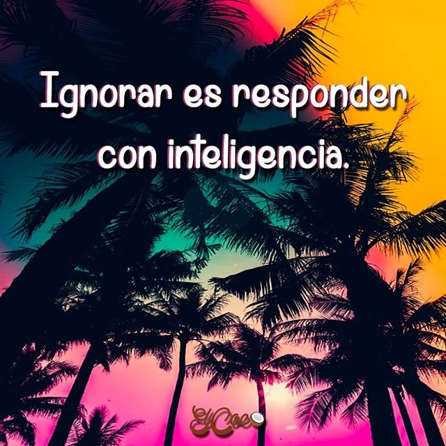 miguelpla04's tweet photo. Reposting @el.c0c0:
#frases #frasesenespañol #frasesbonitas #frasesdeldia #frasesdelavida #frasesdodia #frasesespañol #frasesinstagram https://t.co/m7eSGyXM2O