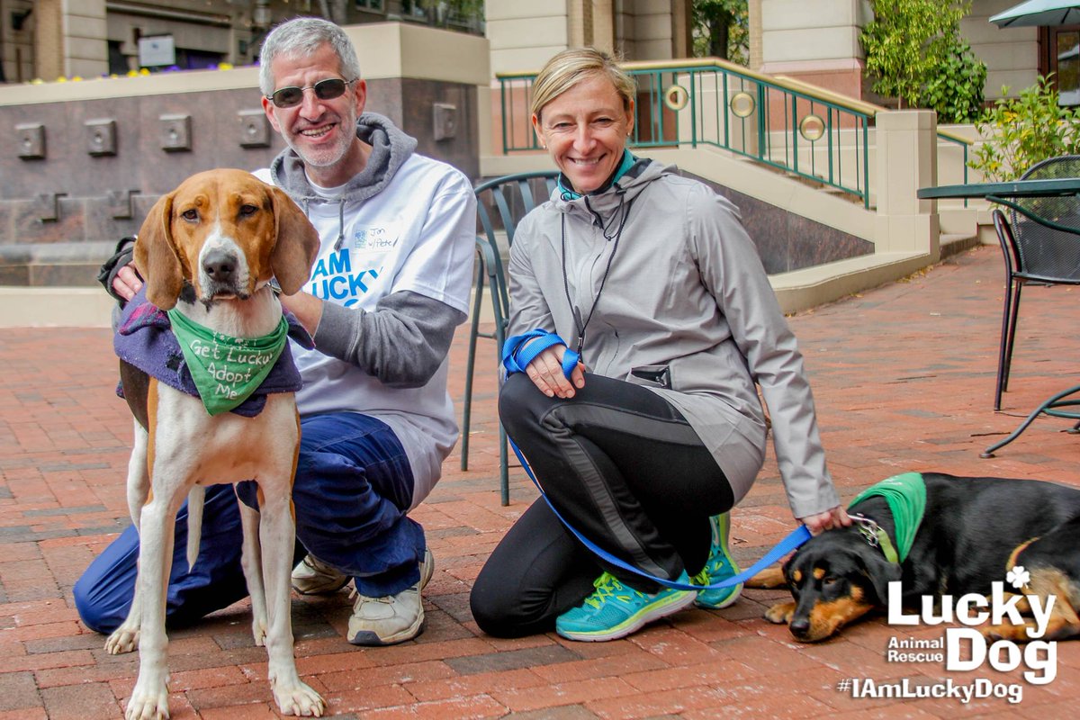 It's National Animal Shelter Appreciation Week! Thank you to all of our amazing shelter partners! #AdoptDontShop #IAmLuckyDog