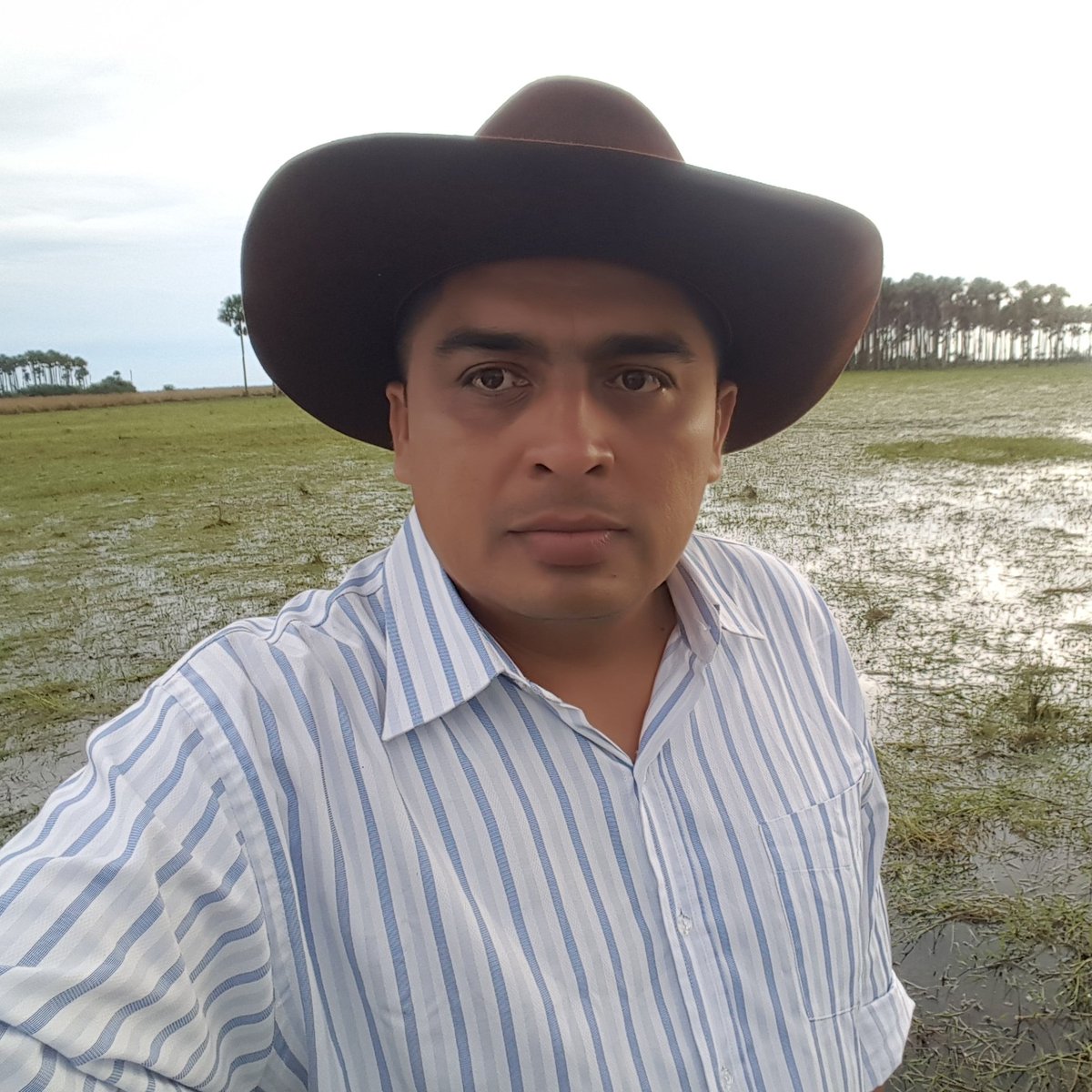 José Henry Calderón tweet media