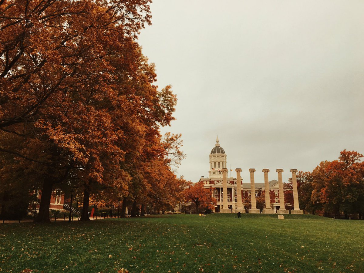 lib_moe's tweet photo. Campus colors @mizzou https://t.co/MoTvEWEtlj