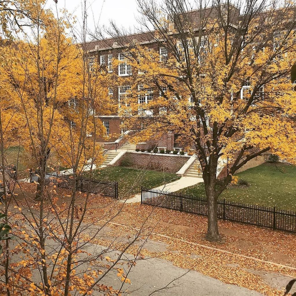 t_kelley's tweet photo. Pretty fall colors outside our STL Airbnb. #stl #stlouis #soulard #airbnb https://t.co/4htmwNMIND