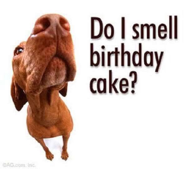 birthdayjoytx's tweet photo. Our #volunteers be like
#houston #homelessyouth #fostercare #nonprofit #birthdays https://t.co/RYE27e6yff