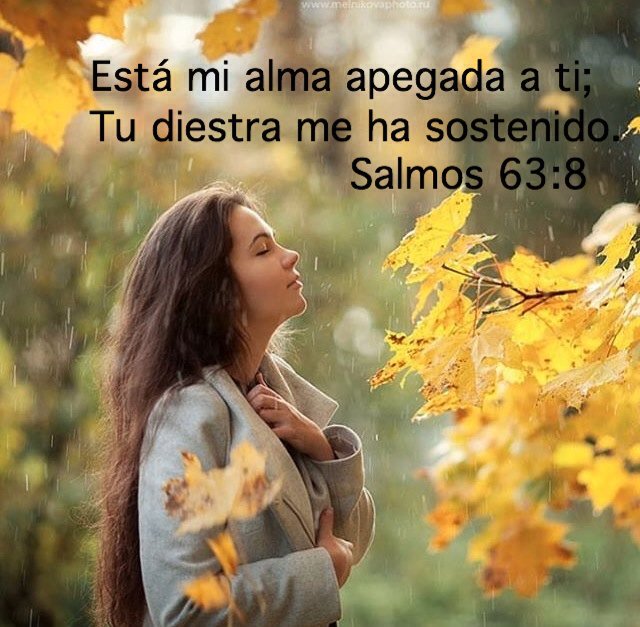 wendyci's tweet photo. Has sido mi socorro Señor, agradecida por siempre!! https://t.co/swvjQ3GOIb