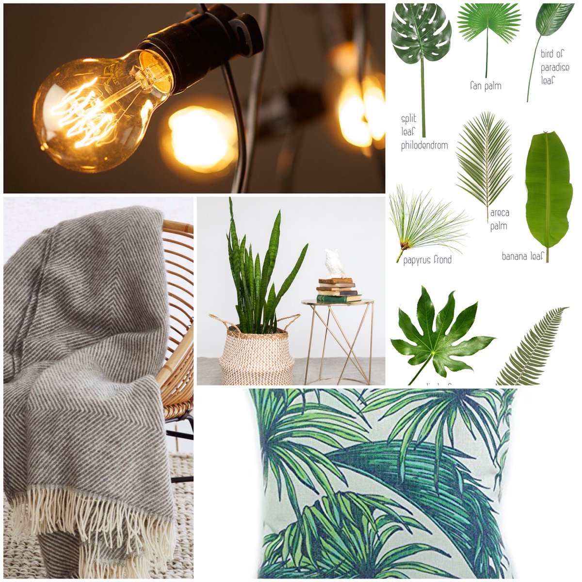 BoutiqueBell's tweet photo. Our new look for 2018🌿🍃 https://t.co/rcnAHR4nEf