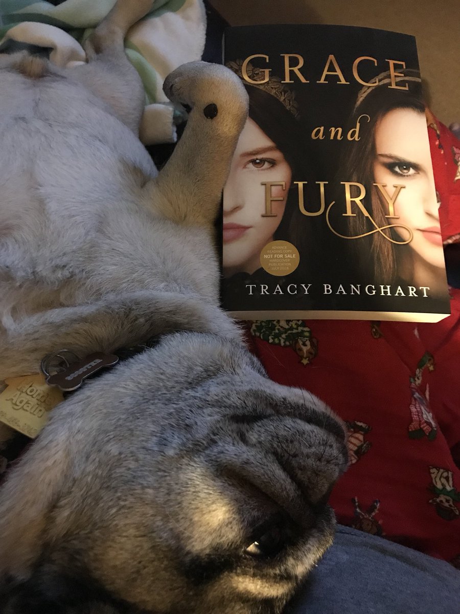 run_work_read's tweet photo. So excited to receive my #usvipubfund item from @tracythewriter! Someone else is just as excited! https://t.co/AjGazEzFUN