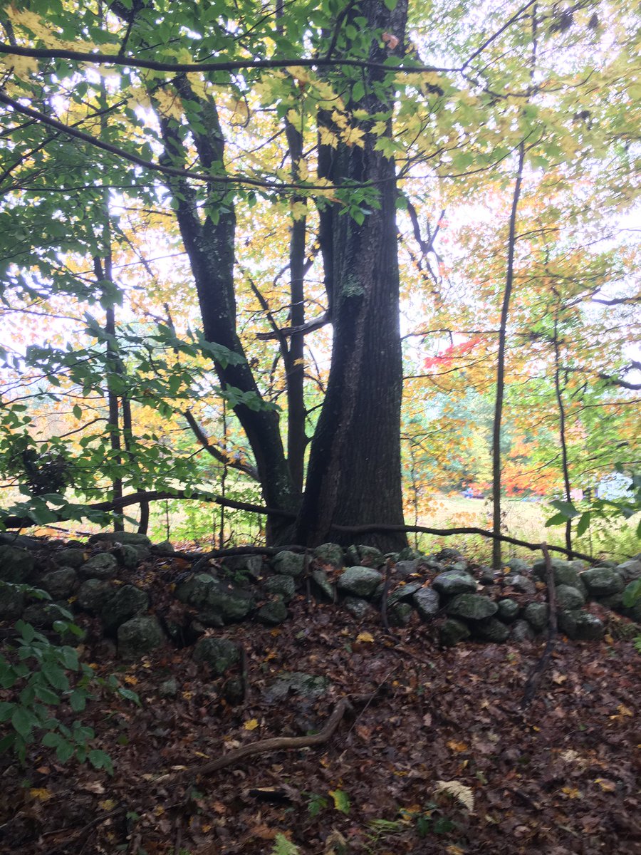 artistjuliepepp's tweet photo. #Yoga #workshop13 #Ware MA Tuesday 630 pm All are Welcome !โจ๐ฆ๐๐ https://t.co/m6mdMBhKM2