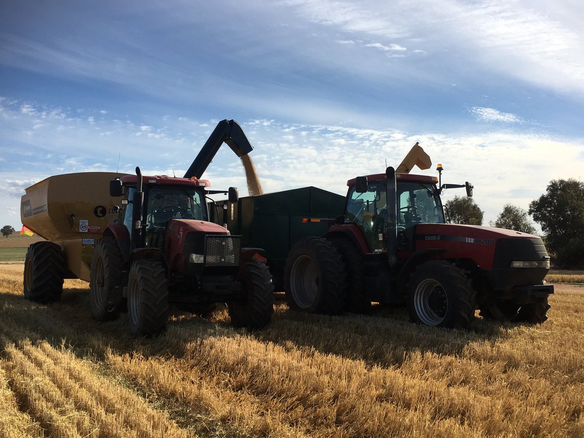 Deb Charlton tweet media