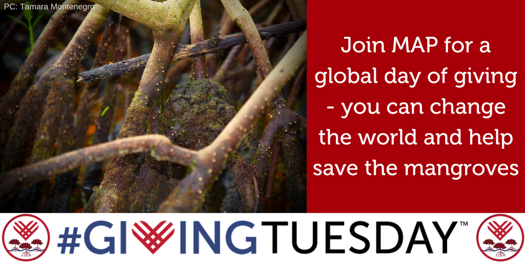 MangroveProject's tweet image. Help kick off the giving season &amp;amp; make a difference this 11/28 by joining
#GivingTuesday @GivingTues