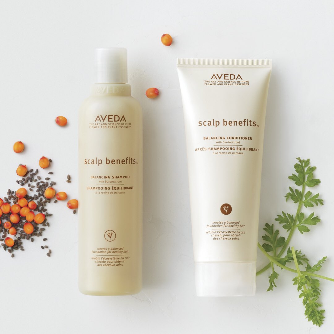 Forbyde Beskatning beskydning Aveda on Twitter: "We heard you! Scalp Benefits — a favorite since 2003 —  is on its way back to stores, salons, and https://t.co/BCLTt9kLsY.  https://t.co/DCxIhIAUdf" / X