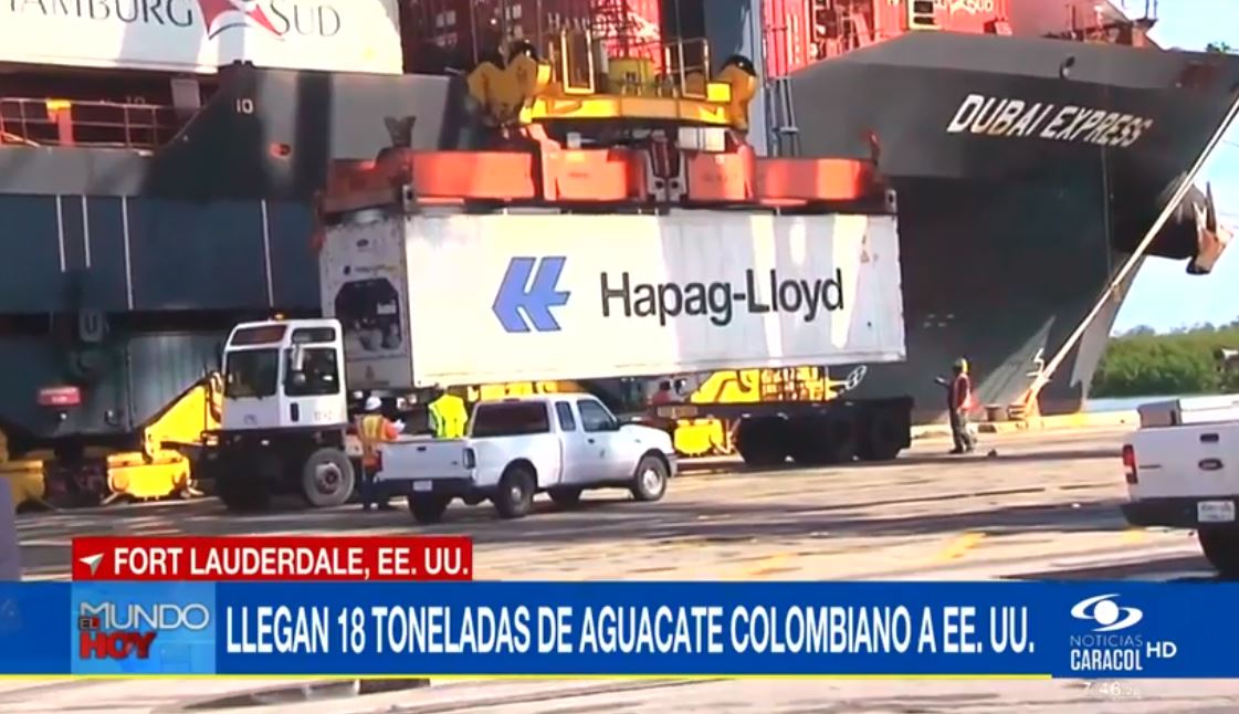 NoticiasCaracol's tweet photo. Bajo estrictas medidas de control de calidad hoy llegó el primer contenedor de aguacate Hass colombiano a un puerto del sur de Florida https://t.co/K0xIZkaT9x