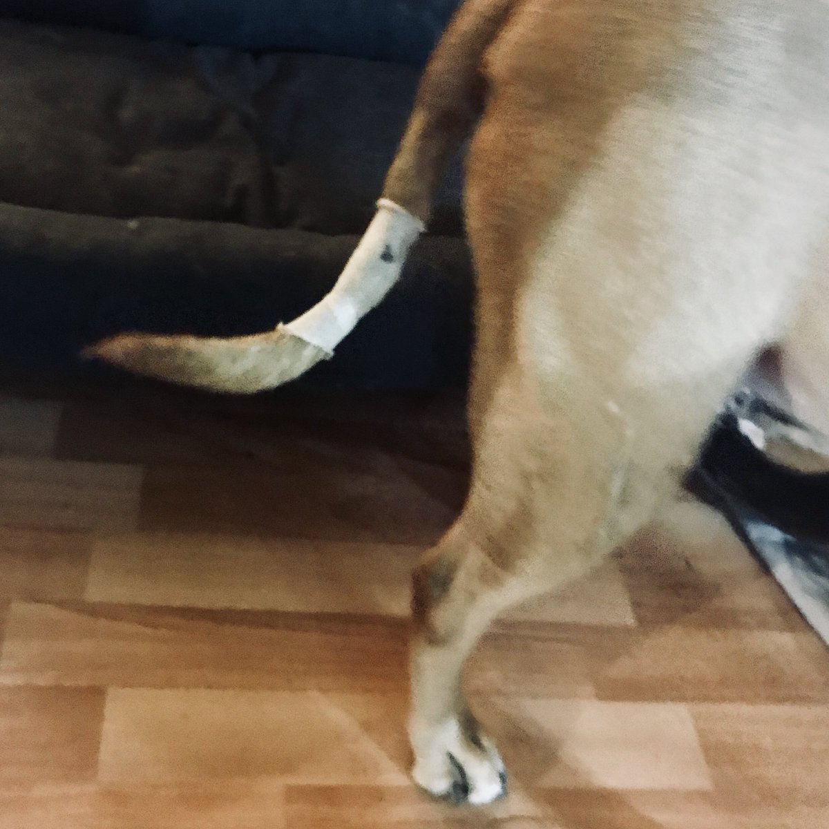 I tried being happy. It did not work out.