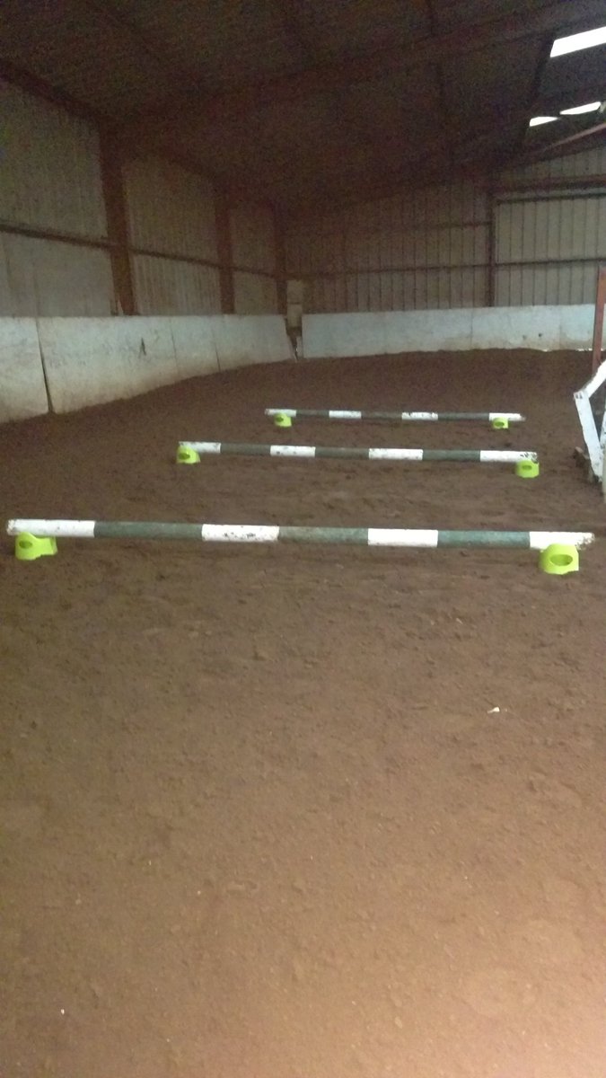 GingerNinjaCo's tweet photo. Yes, they are plastic potties. No it's not weird... I hope 🙈 #equestrian #blog #horse #equestrianblog #raisedcanterpoles #eventingprep https://t.co/9dBc9Z01eV